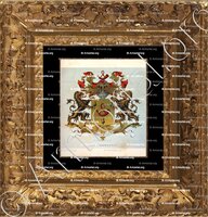cadre-ancien-or-BRONKHORST_Wapenboek van den Nederlandschen Adel. (J.B. Rietstap)._Nederland (i)