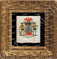 cadre-ancien-or-AULNIS de BOUROUILL_Wapenboek van den Nederlandschen Adel. (J.B. Rietstap)._Nederland (i)