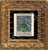 cadre-ancien-or-LA ROQUETTE_Armorial Nice. (J. Casal, 1903) (Bibl. mun. de Nice)._France