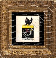 cadre-ancien-or-VAN POTTELSBERGHE_Armorial royal des Pays-Bas_Europe