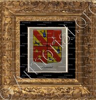 cadre-ancien-or-FLAMAND_Noblesse d'Empire._France