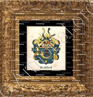 cadre-ancien-or-BRODTBECK_ Armorial de la ville de Bâle. B.Meyer Knaus 1880_Schweiz. Suisse. Svizzera. ()