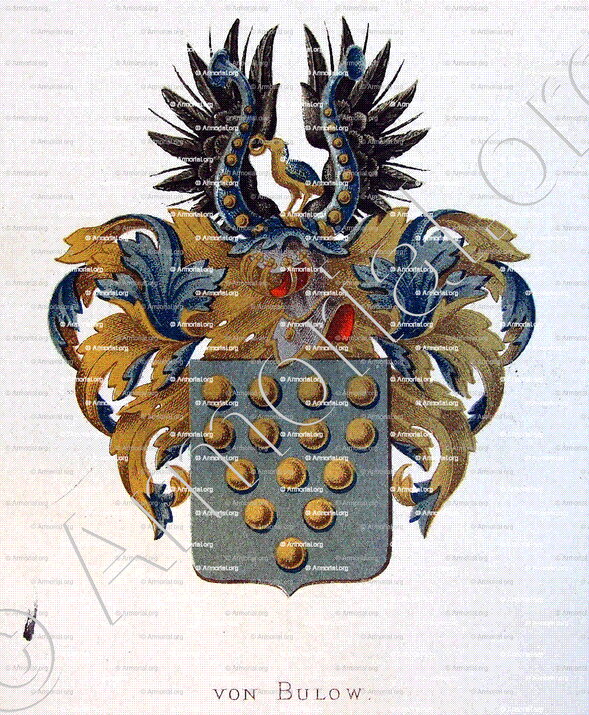BULOW_Wapenboek van den Nederlandschen Adel. (J.B. Rietstap)._Nederland (i)
