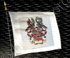 drapeau-AUMALE van ROMONDT_Wapenboek van den Nederlandschen Adel. (J.B. Rietstap)._Nederland (i)