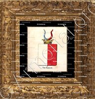 cadre-ancien-or-VAN RANZOW_Armorial royal des Pays-Bas_Europe