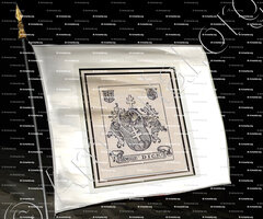 drapeau-DICK_Bern_Schweiz (++)