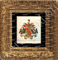 cadre-ancien-or-BURCH_Wapenboek van den Nederlandschen Adel. (J.B. Rietstap)._Nederland (i)