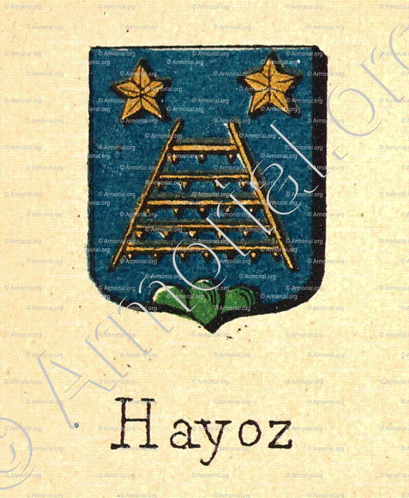 HAYOZ_Livre d'Or du Canton de Fribourg (Freiburg). (Alfred Raemy, 1898)_Schweiz Suisse Svizzera Switz