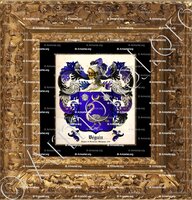 cadre-ancien-or-BEGUIN_Seigneur de Branscourt. Champagne. 1534._France (ii)