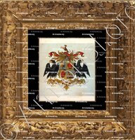 cadre-ancien-or-CAAN_Wapenboek van den Nederlandschen Adel. (J.B. Rietstap)._Nederland (i)