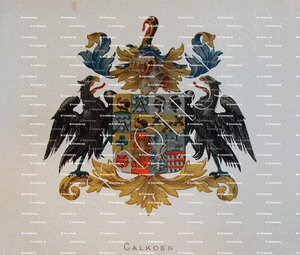 CALKOEN_Wapenboek van den Nederlandschen Adel. (J.B. Rietstap)._Nederland +