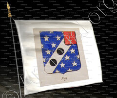 drapeau-FOY_Noblesse d'Empire._France