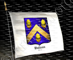 drapeau-BULTEAU_Paris_France