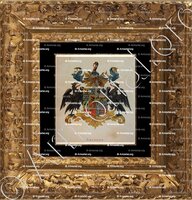 cadre-ancien-or-CALKOEN_Wapenboek van den Nederlandschen Adel. (J.B. Rietstap)._Nederland