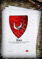 velin-d-Arches-XAXA_Ximenes Xaxà, Sardegna, 1392. (Armi primitive)_Italia