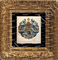 cadre-ancien-or-CHANGUION_Wapenboek van den Nederlandschen Adel. (J.B. Rietstap)._Nederland