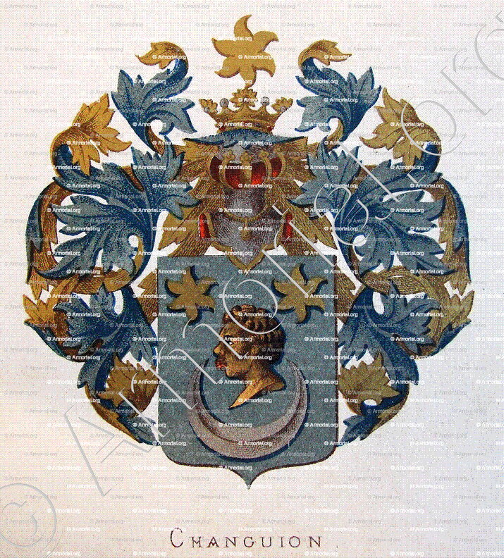 CHANGUION_Wapenboek van den Nederlandschen Adel. (J.B. Rietstap)._Nederland