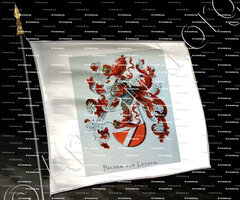 drapeau-BACKER van LEUVEN_Wapenboek van den Nederlandschen Adel. (J.B. Rietstap)._Nederland (i)