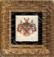 cadre-ancien-or-CHASSE_Wapenboek van den Nederlandschen Adel. (J.B. Rietstap)._Nederland