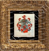 cadre-ancien-or-BACKER_Wapenboek van den Nederlandschen Adel. (J.B. Rietstap)._Nederland (i)