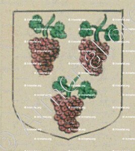 La VIGNE (Alsace)