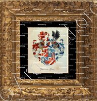 cadre-ancien-or-BACKER_Wapenboek van den Nederlandschen Adel. (J.B. Rietstap)._Nederland (ii)