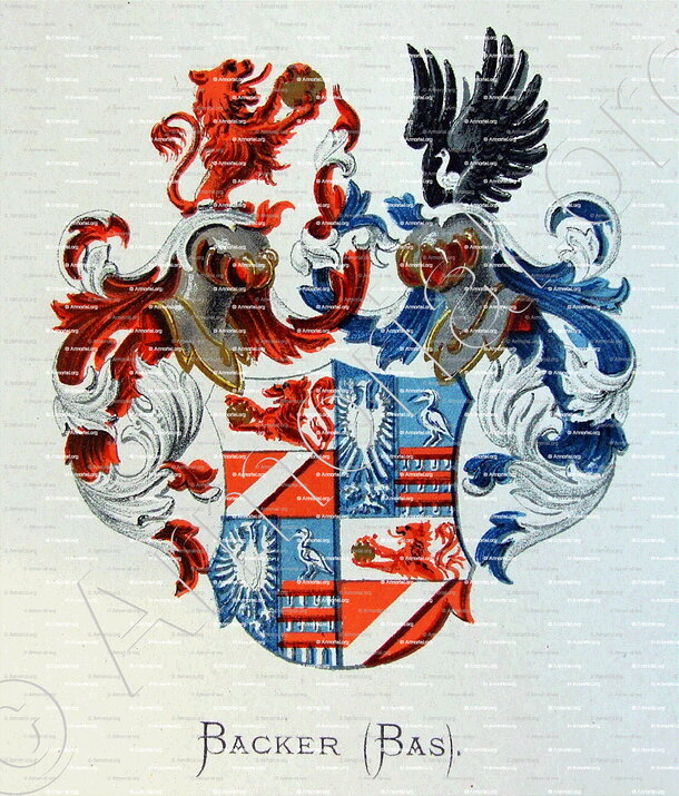 BACKER_Wapenboek van den Nederlandschen Adel. (J.B. Rietstap)._Nederland (ii)