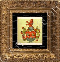 cadre-ancien-or-NÖTZLI_Wappenbuch der Stadt Basel . B.Meyer Knaus 1880_Schweiz 