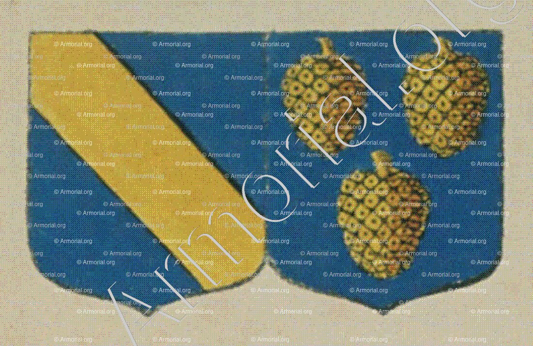 DAOUT et PETREMAND sa femme (Alsace)_Blason enregistré sous le règne de Louis XIV_France