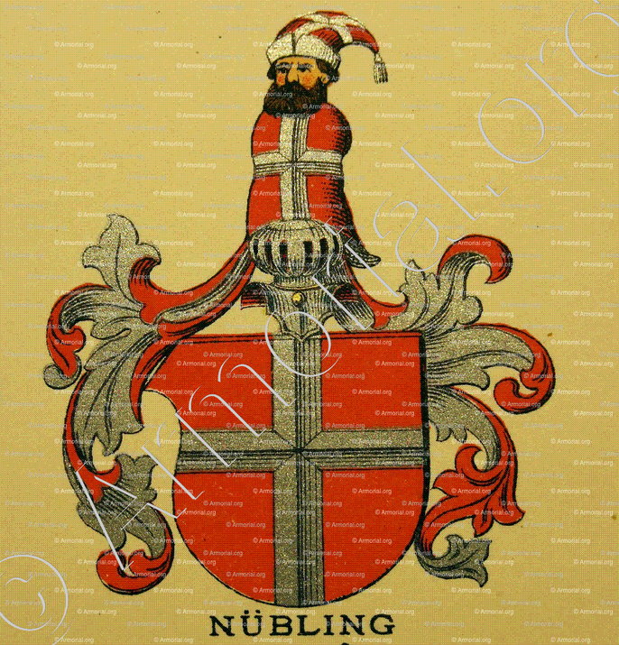 NÜBLING_Wappenbuch der Stadt Basel . B.Meyer Knaus 1880_Schweiz 