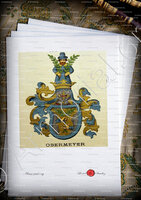 velin-d-Arches-OBERMEYER_Wappenbuch der Stadt Basel . B.Meyer Knaus 1880_Schweiz 