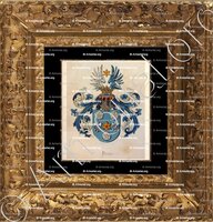 cadre-ancien-or-BAKE_Wapenboek van den Nederlandschen Adel. (J.B. Rietstap)._Nederland (i)