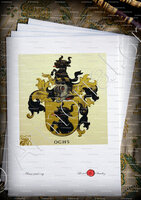 velin-d-Arches-OCHS_Wappenbuch der Stadt Basel . B.Meyer Knaus 1880_Schweiz 