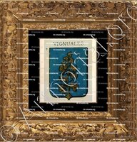 cadre-ancien-or-VIGNUALES_Sicilia._Italia ()