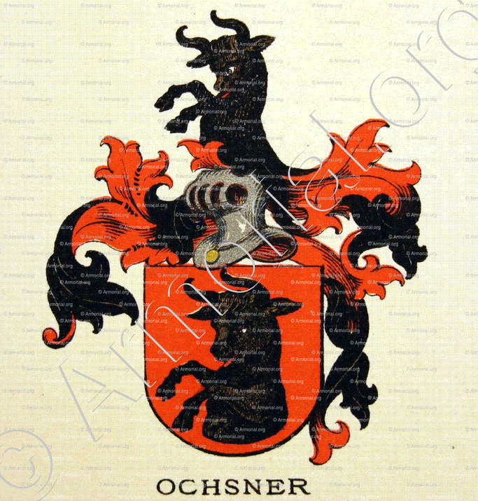 OCHSNER_Wappenbuch der Stadt Basel . B.Meyer Knaus 1880_Schweiz 