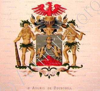 D'AULNIS de BOUROUIL
