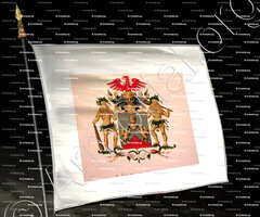 drapeau-D'AULNIS de BOUROUIL_Wapenboek van den Nederlandschen Adel door J.B.Rietstap 1883 1887_Nederland