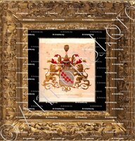 cadre-ancien-or-Van ASBECK Van LUILLEMA_Wapenboek van den Nederlandschen Adel door J.B.Rietstap 1883 1887_Nederland