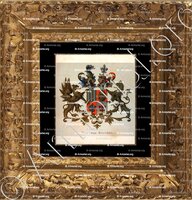 cadre-ancien-or-BARCHMAN WUYTIERS_Wapenboek van den Nederlandschen Adel. (J.B. Rietstap)._Nederland (i)