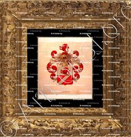 cadre-ancien-or-BACKER_Wapenboek van den Nederlandschen Adel door J.B.Rietstap 1883 1887_Nederland