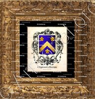 cadre-ancien-or-d'ANGLEMONT de TASSIGNY_Ardennes, Lorraine._France (1)