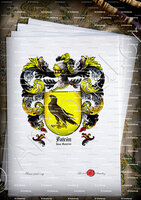 velin-d-Arches-FALCON_Islas Canarias_España (ii)