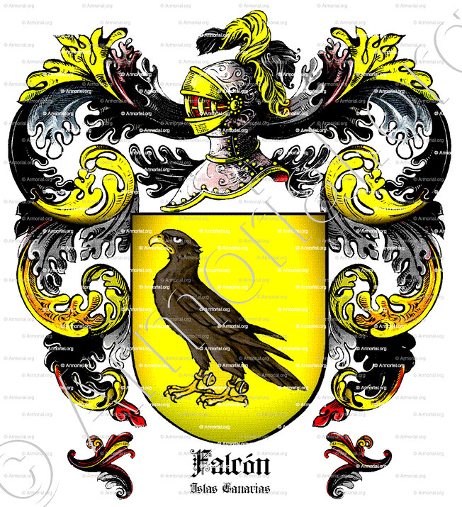 FALCON_Islas Canarias_España (ii)