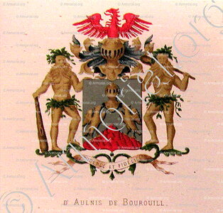 D'AULNIS de BOUROUILL