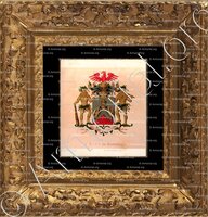 cadre-ancien-or-d'AULNIS de BOUROUILL_Wapenboek van den Nederlandschen Adel door J.B.Rietstap 1883 1887_Nederland