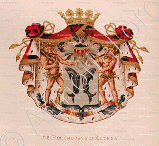 De BORCHGRAVE d'ALTENA