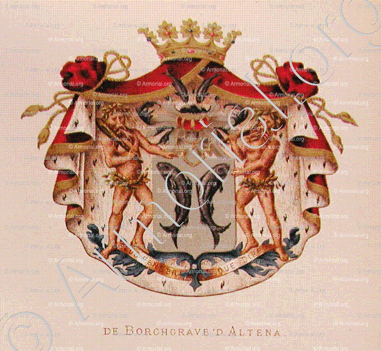 De BORCHGRAVE d'ALTENA_Wapenboek van den Nederlandschen Adel door J.B.Rietstap 1883 1887, Nederland