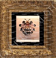 cadre-ancien-or-van BALVEREN_Wapenboek van den Nederlandschen Adel door J.B.Rietstap 1883 1887_Nederland