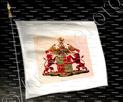 drapeau-BARNAART_Wapenboek van den Nederlandschen Adel door J.B.Rietstap 1883 1887 (Nederland)