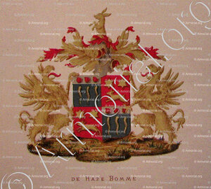 de HAZE BOMME_Wapenboek van den Nederlandschen Adel door J.B.Rietstap 1883 1887, Nederland